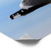 シーガルー ポスター (角)