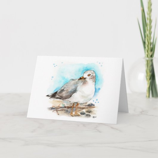 シーガル勉強2 カード (正面)