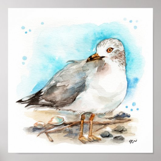 シーガル勉強2 ポスター (正面)