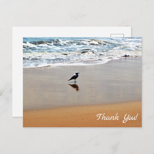 シーガル反射、砂と海ビーチありがとう ポストカード (正面/裏面)