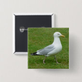 シーガル歩くインザパーク 缶バッジ (正面&裏面)