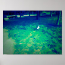 シーガル歩くオン草液化美術効果