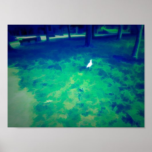 シーガル歩くオン草液化美術効果 ポスター (正面)