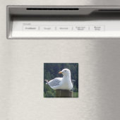 シーガル角磁石 マグネット (インサイチュ (食洗機))