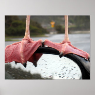 シーガル足 ポスター