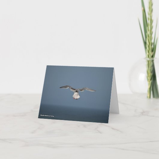 シーガル離れのカード カード (正面)