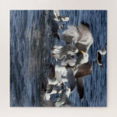 シーガル食べ物を与えズフレンジアクリルジグソーパズル ジグソーパズル (横)