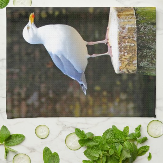 シーガル キッチンタオル (折り畳み)