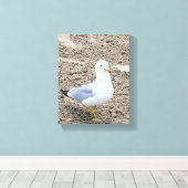 シーガル キャンバスプリント (インサイチュ (ウッドフロア))