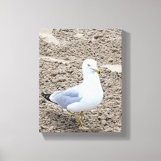 シーガル キャンバスプリント (正面)