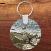 シーガル キーホルダー (正面)