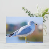 シーガル シーズンカード (スタンド正面)