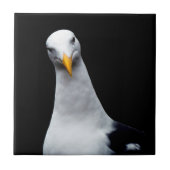 シーガル タイル (正面)