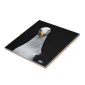 シーガル タイル (側面)