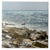 シーガル タイル (正面)