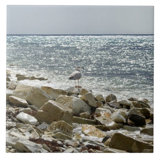 シーガル タイル (正面)