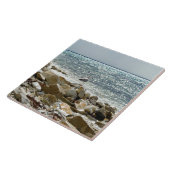 シーガル タイル (側面)