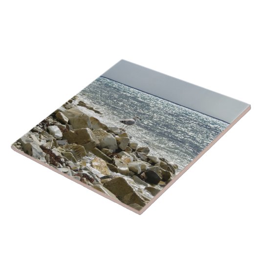 シーガル タイル (側面)