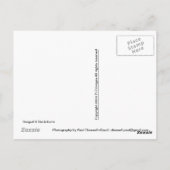 シーガル&デッキチェア ポストカード (裏面)