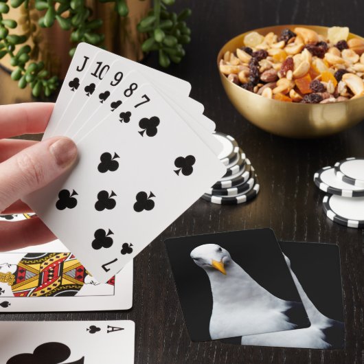 シーガル トランプ (インサイチュ)