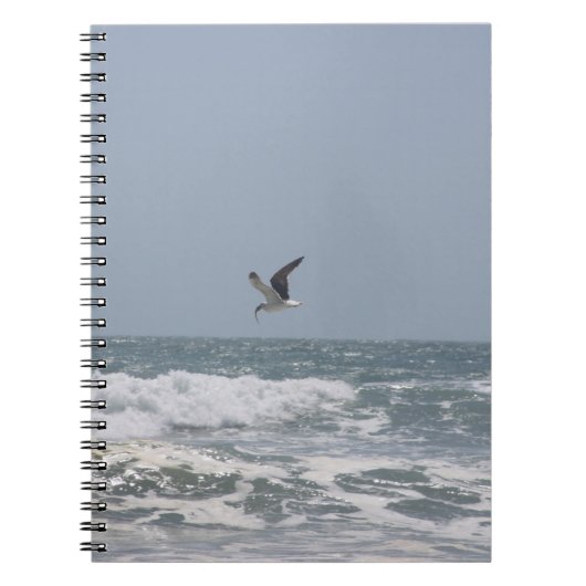 シーガル ノートブック (正面)