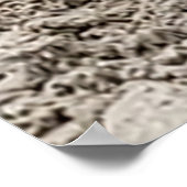 シーガル ポスター (角)