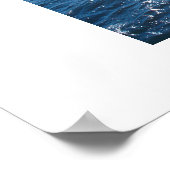 シーガル ポスター (角)