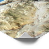 シーガル ポスター (角)