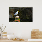 シーガル ポスター (キッチン)