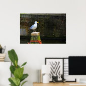 シーガル ポスター (ホームオフィス)