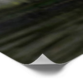 シーガル ポスター (角)