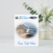 シーガル ポストカード (スタンド正面)