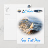 シーガル ポストカード (正面/裏面)