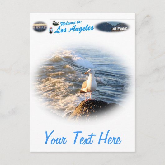 シーガル ポストカード (正面)