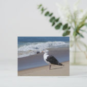 シーガル ポストカード (スタンド正面)