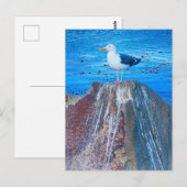 シーガル ポストカード (正面/裏面)