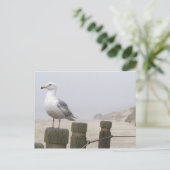 シーガル ポストカード (スタンド正面)