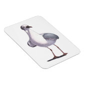 シーガル マグネット (右側)