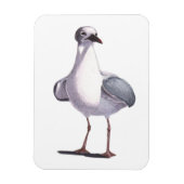 シーガル マグネット (縦)