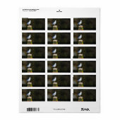 シーガル ラベル (フルシート)