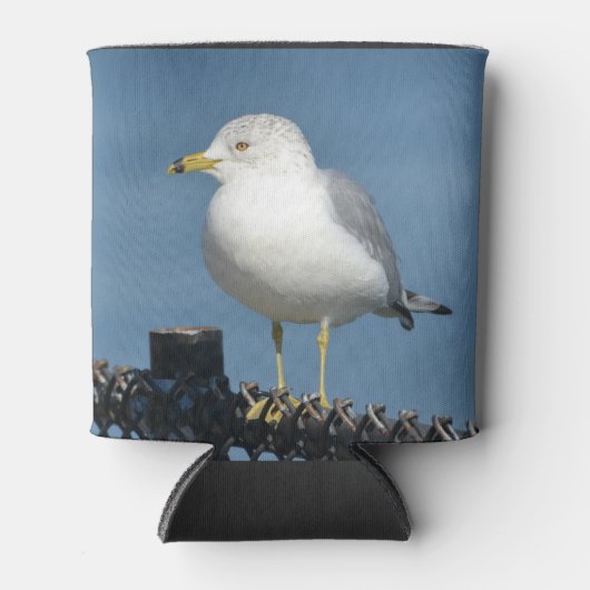 シーガル 缶クーラー (正面)