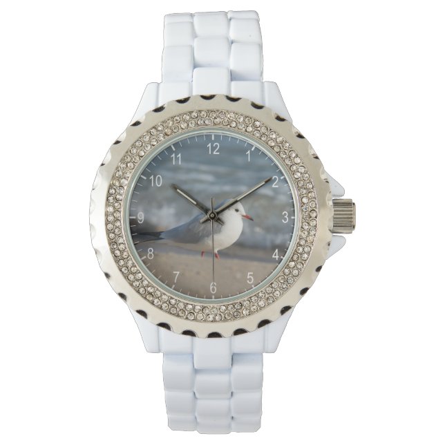 シーガル 腕時計 (正面)