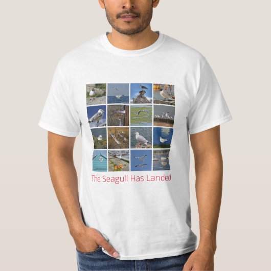 シーガル Tシャツ (正面)