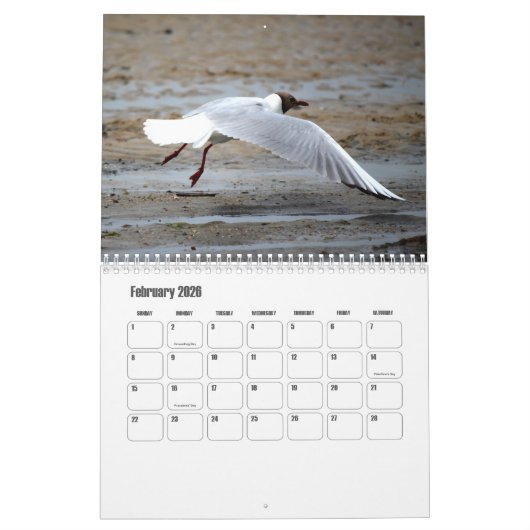 シーガ芸術的ル冒険暦 カレンダー (2月 2026)