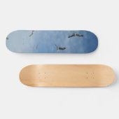 シーガ飛んでいるルズスケートボード スケートボード (横)