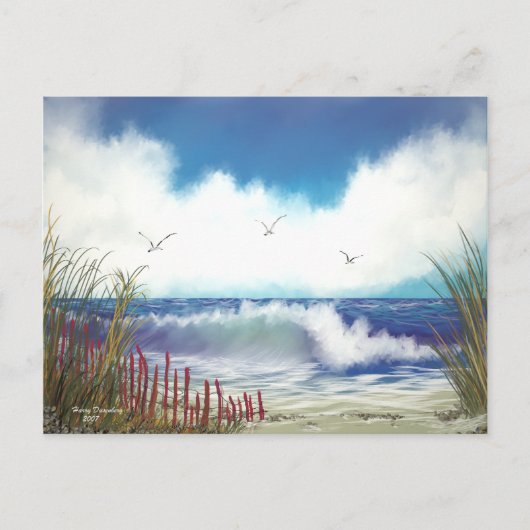 シーキャップ ポストカード (正面)