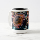 シーキュウリマグ ツートーンマグカップ (正面左)