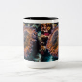 シーキュウリマグ ツートーンマグカップ (中央)