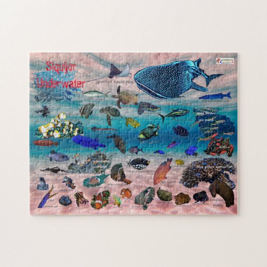 シーキョール水中の世界 ジグソーパズル (横)