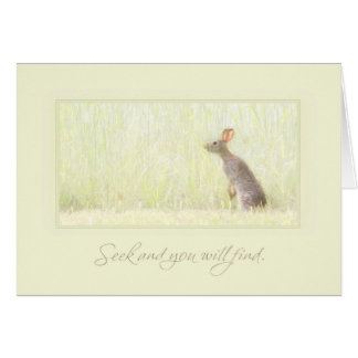 シークおよび発見